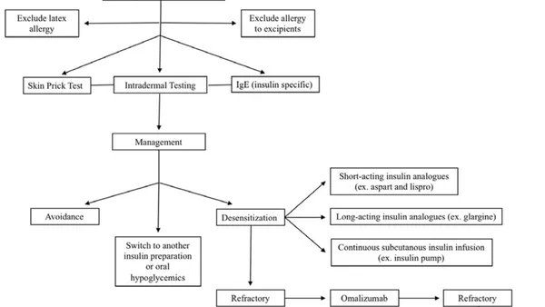 Hypersensitivity to Insulin Degludec: Case Analysis and Management Perspectives