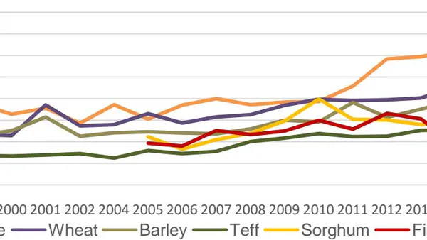 Climate Change and Variability Impacts on Crop Productivity and its Risk in Southern Ethiopia