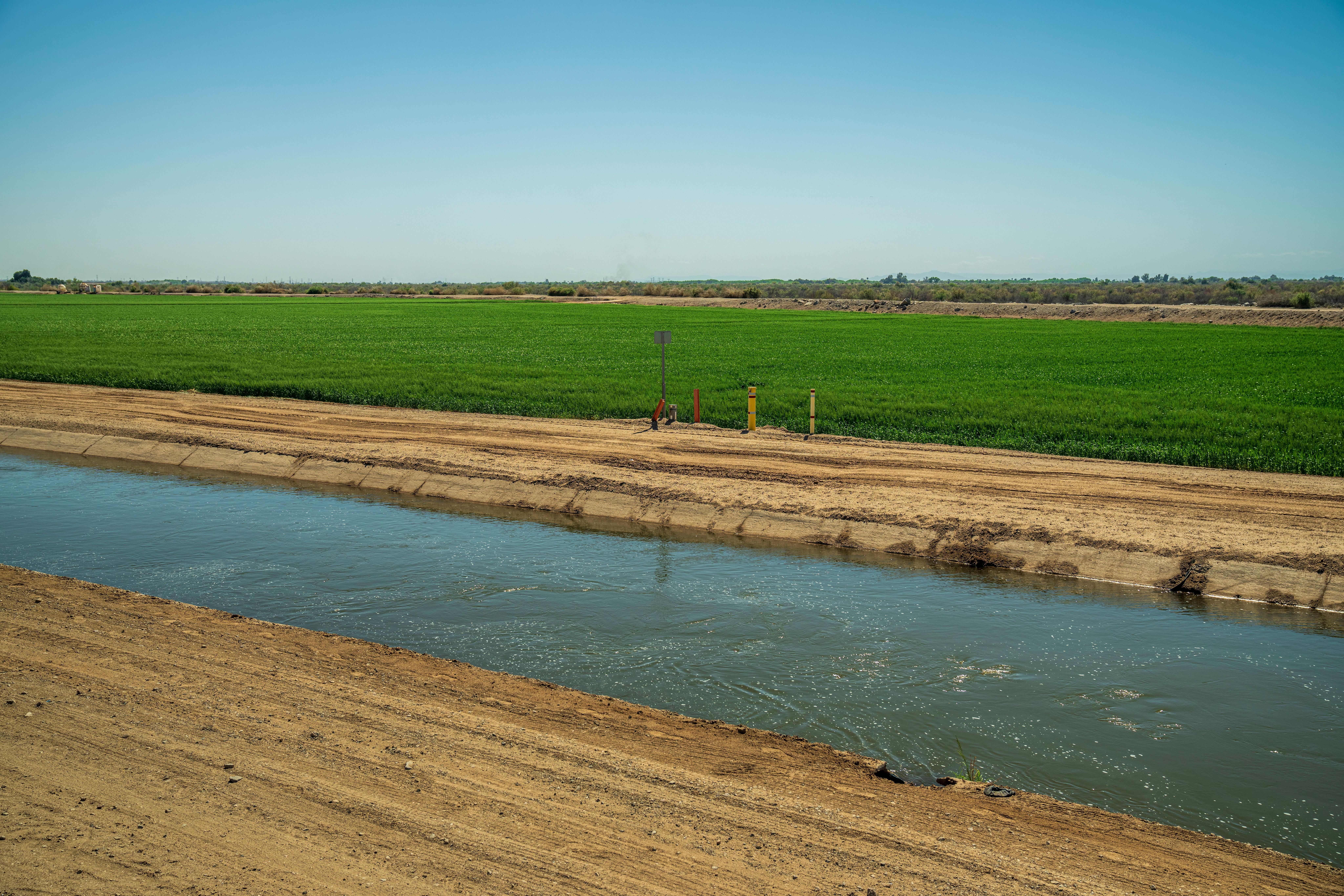 Design and structural Analysis of Gates and Hoisting Systems for Rohin Barrage Project, Uttar Pradesh, India: A case study
