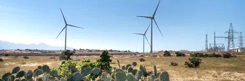 Environmental Governance in the Insertion of Electric Mobility in the Fernando of Noronha Archipelago (Brazil, Pernambuco)