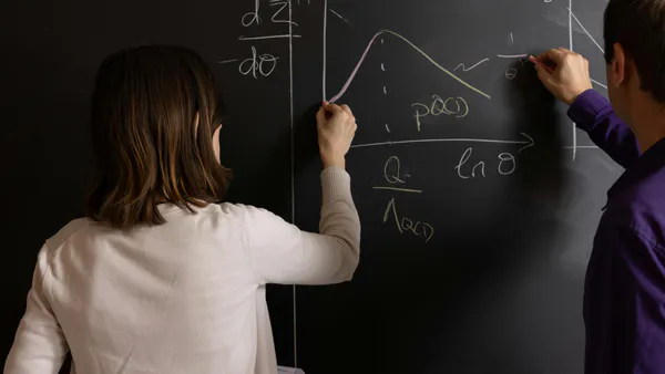 Using Visualisation and E-Learning Tools to Teach Statistical Concepts to Decisionmakers and Policy Planners