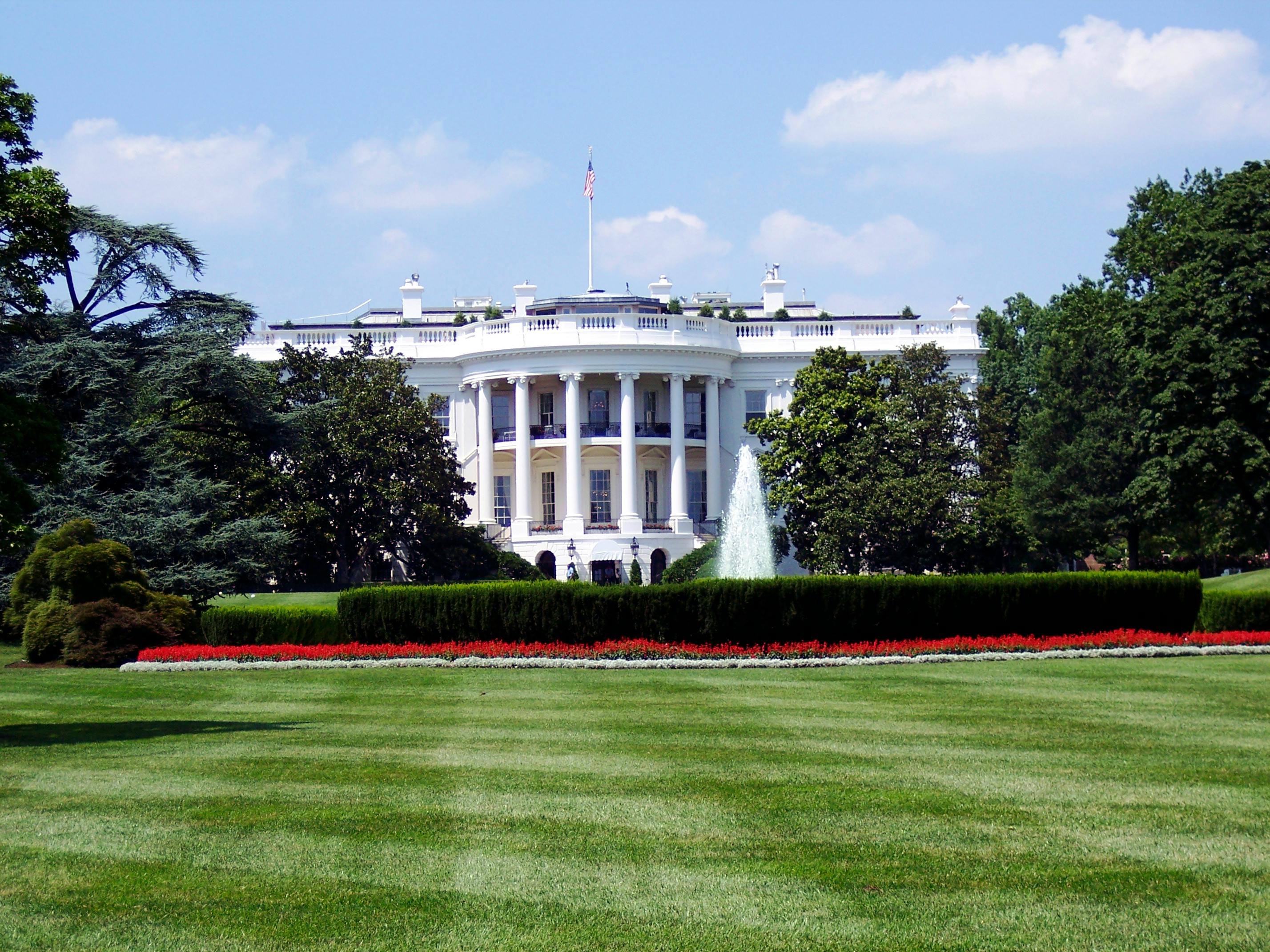Presidential Communication and Stock Market Reactions: Evidence of Abnormal Returns Following Post-Election Presidential Statements in the 2024 U.S. Election Cycle
