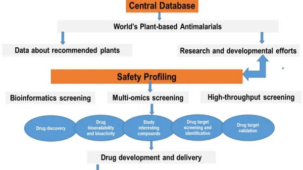 Building a Global Central Database for Promising Herbal Antimalarials from Various Countries: Strategies for Safe and Effective Drug Development