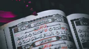Feature