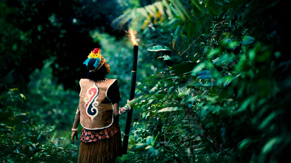 The Gift and Not the Gun Ruined Them: The Cultural History of Aboriginal Tribes  of Andaman and Nicobar Islands