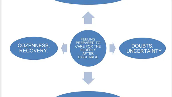 Perception of the Family Caregiver in Care for Chronic Older Adults after Discharge