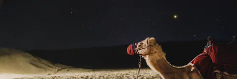 Exploring the Psychological Implications of Aliens in Religion