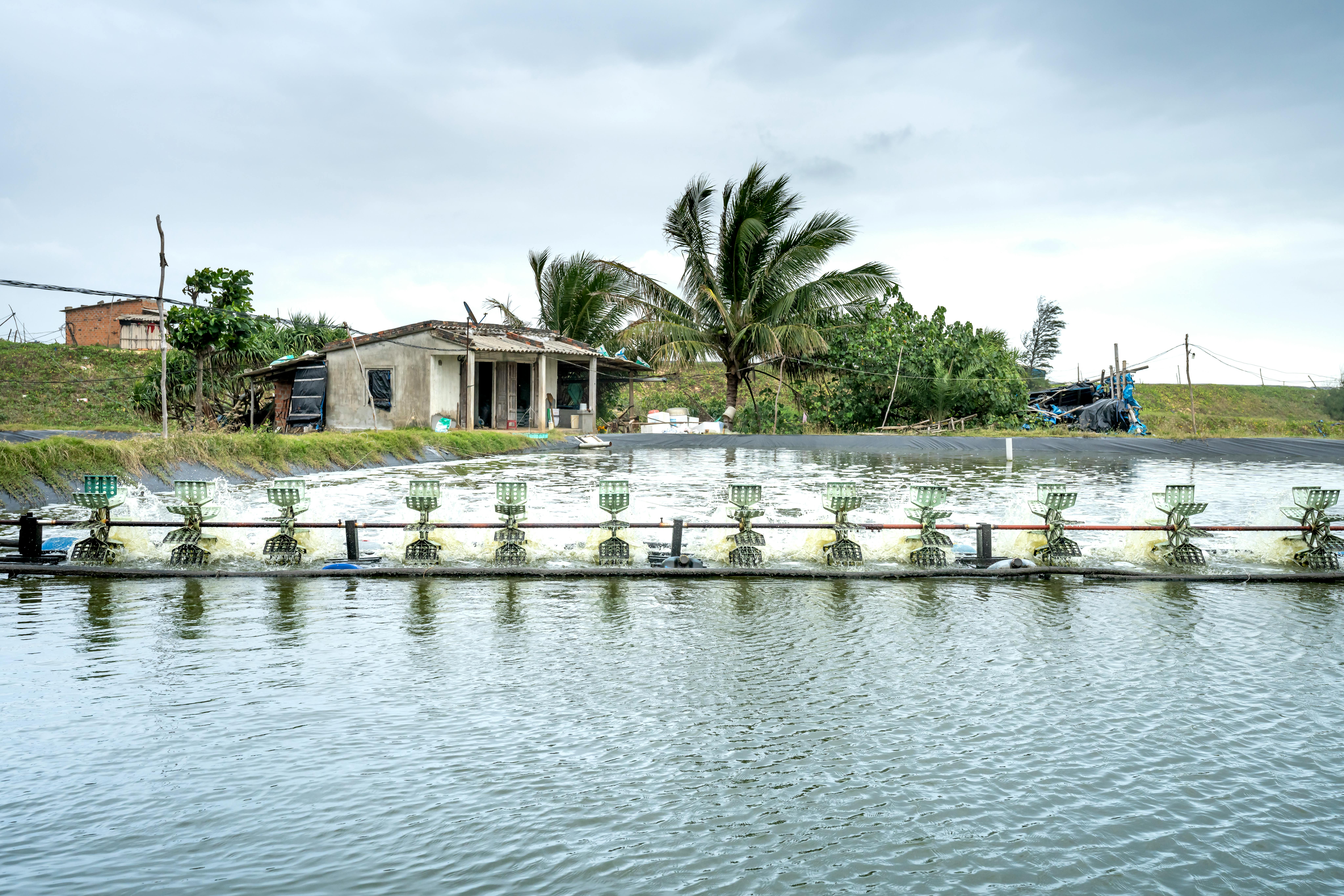 Modelos De Tanques De Betão Para A Produção De Peixes Na Faculdade De  Medicina Veterinária Do Huambo/Angola