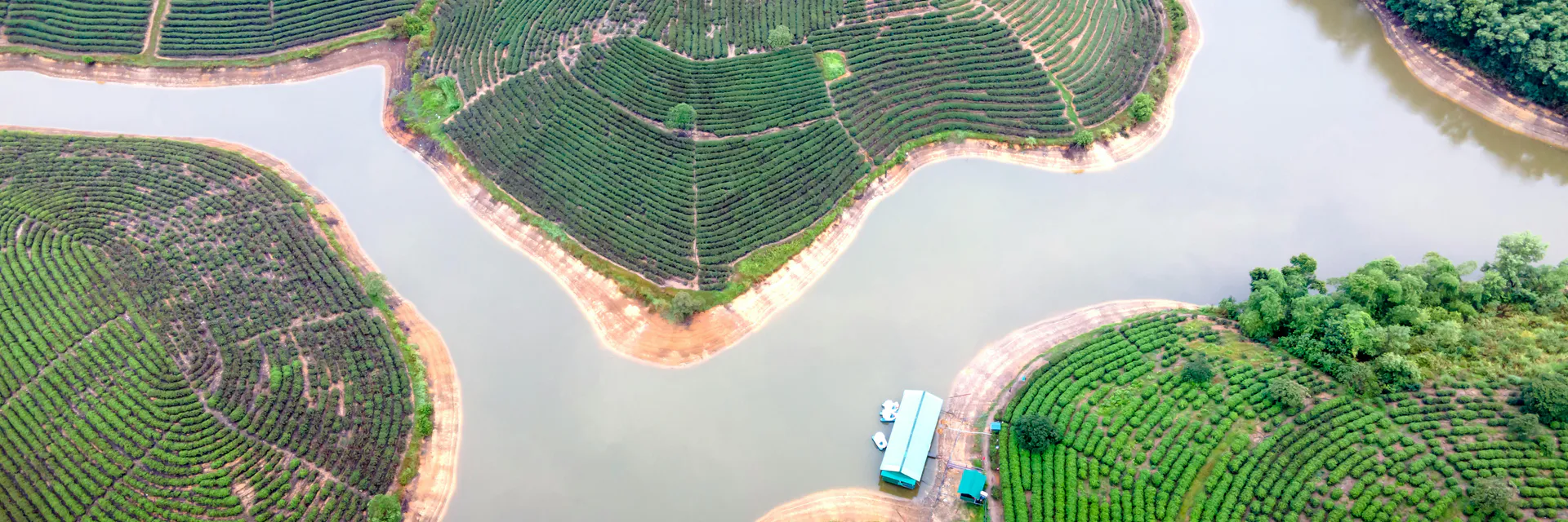 Degradación Hidrológica Del Cantón Valencia, Provincia De Los Ríos Por Efecto De Los Monocultivos De Banano Y  Cacao Banner