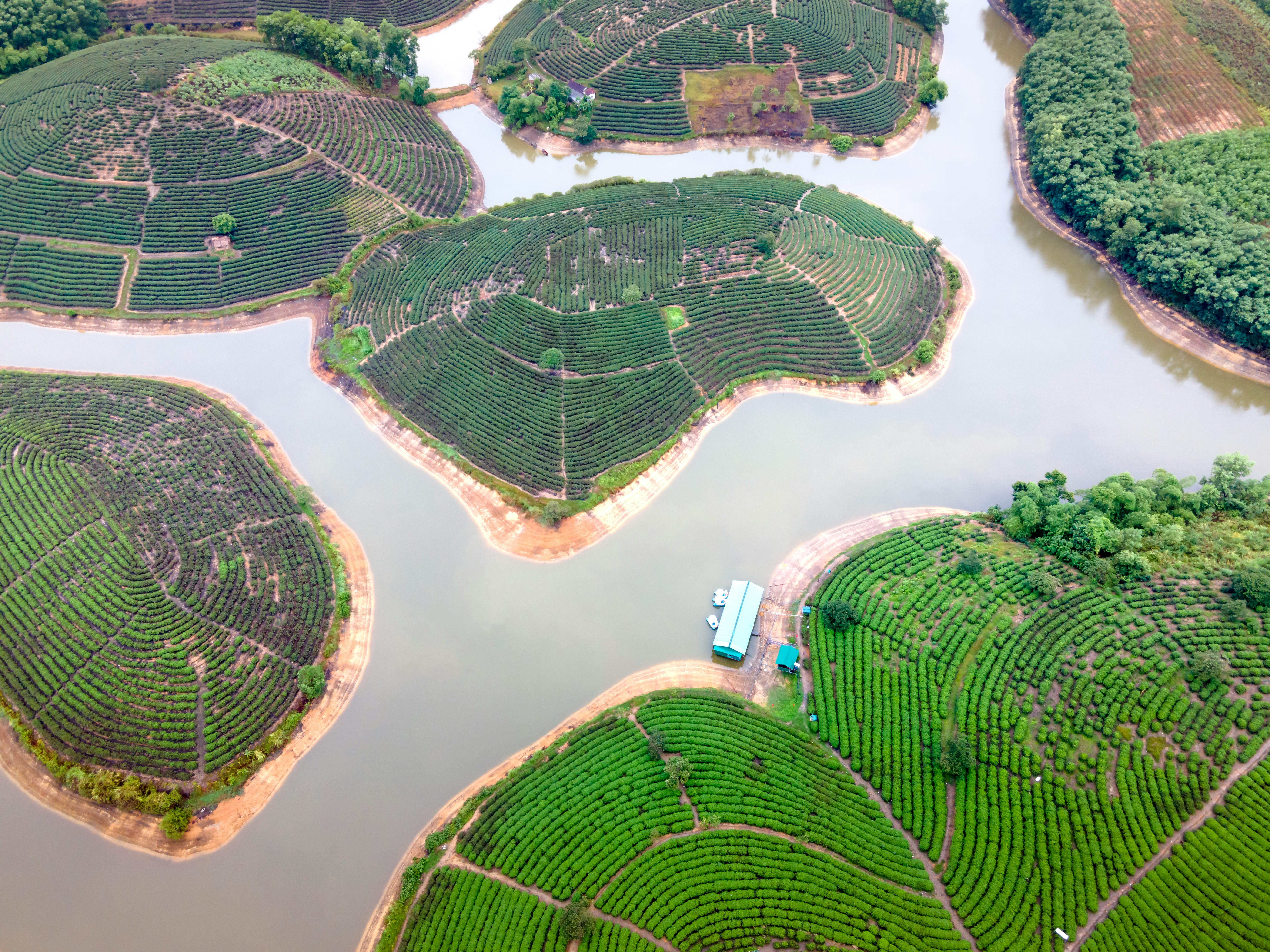 Degradación Hidrológica Del Cantón Valencia, Provincia De Los Ríos Por Efecto De Los Monocultivos De Banano Y  Cacao