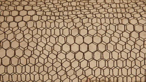 Anti-Graphene
