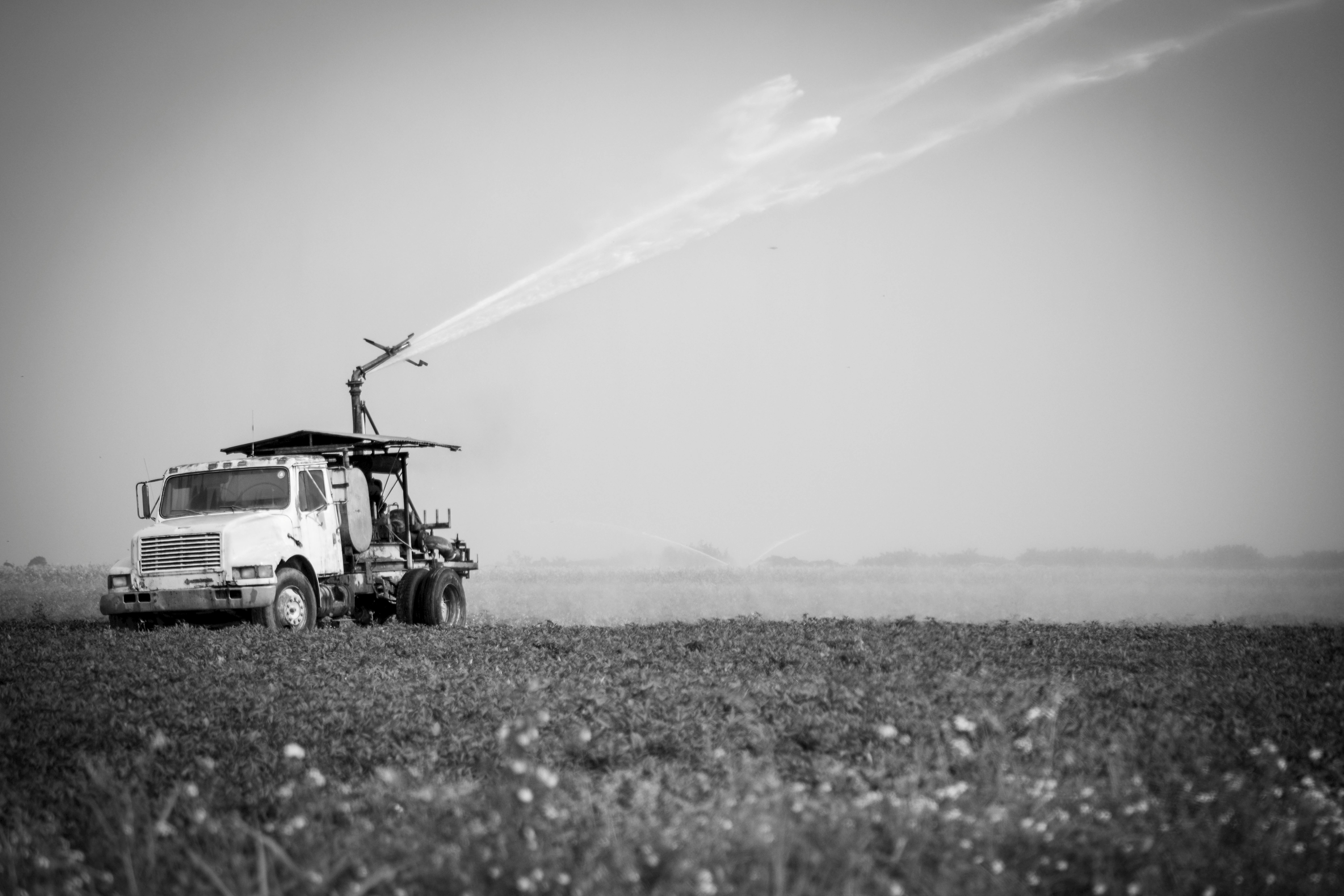 Production of Rape (Brassica Napus L) Under Diaper Waste-Moisture Conservation Field Technology