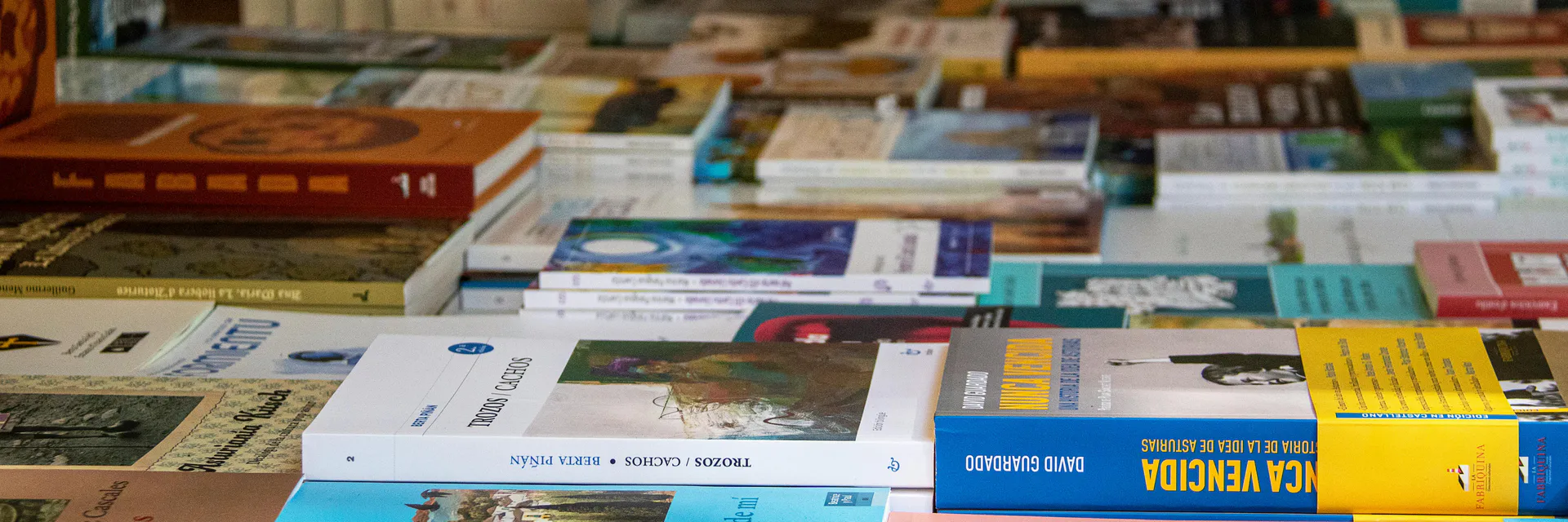 Território e Leitura: O (Não) Acesso à Literatura em Territórios Periféricos Banner