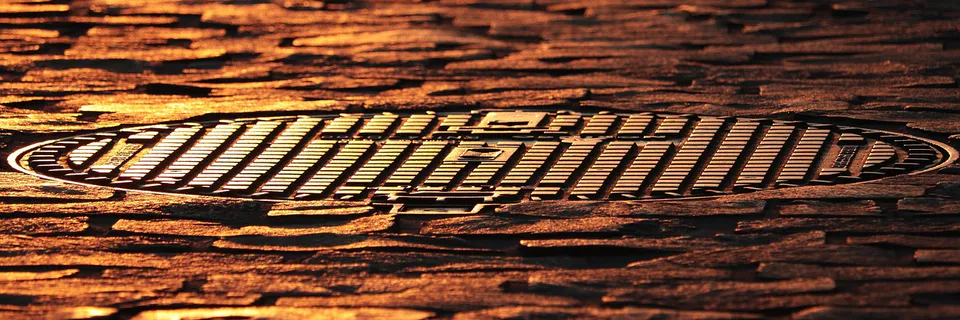 Studies of the Mechanism of Adhesion of Polymer Coatings on the Oxidized Surface of Aluminum and Magnesium Alloys Banner