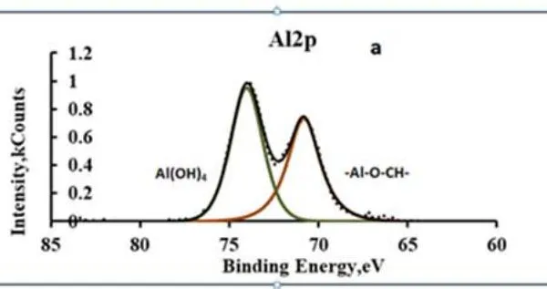 Studies of the Mechanism of Adhesion of Polymer Coatings on the Oxidized Surface of Aluminum and Magnesium Alloys