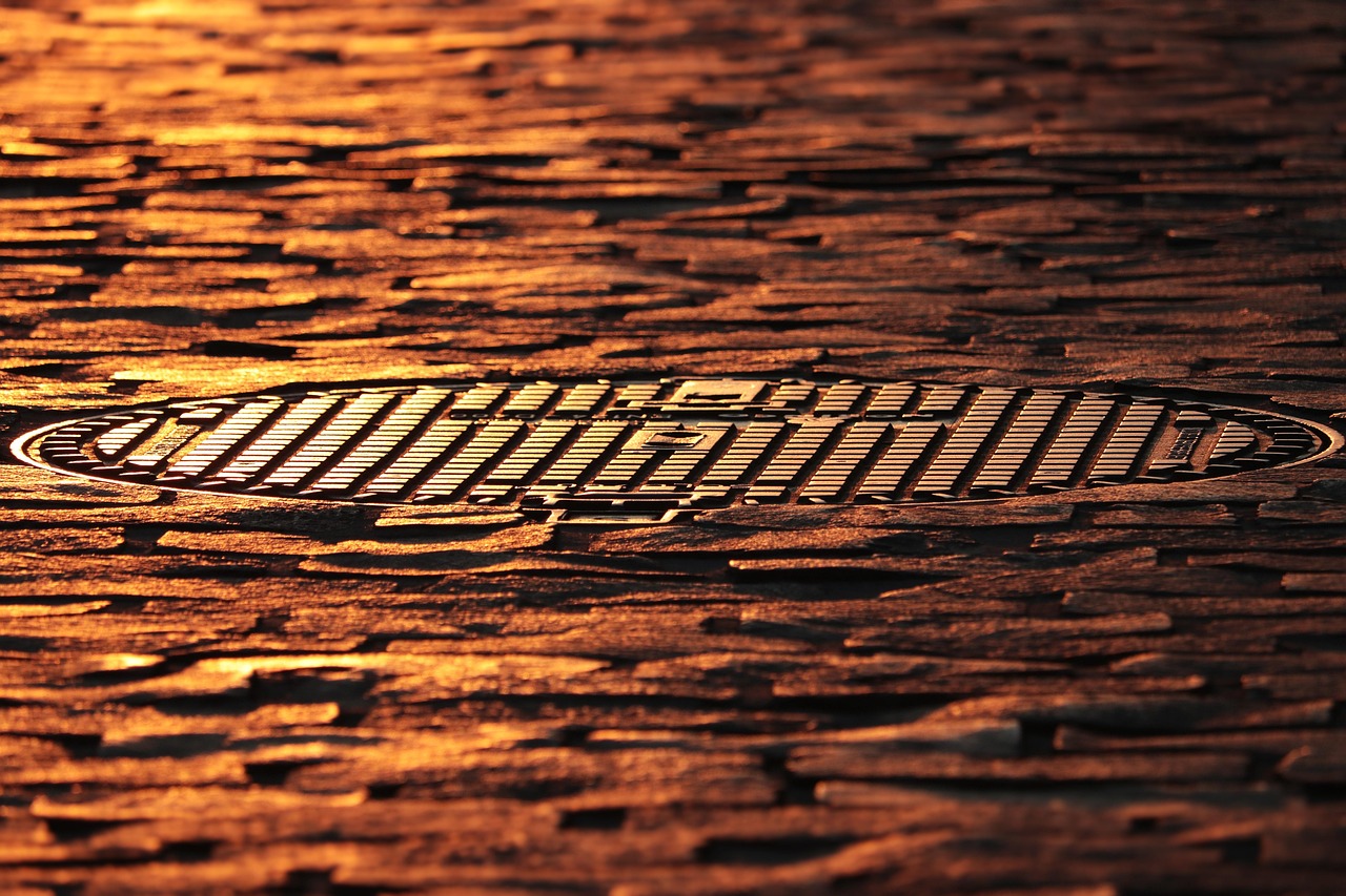 Studies of the Mechanism of Adhesion of Polymer Coatings on the Oxidized Surface of Aluminum and Magnesium Alloys