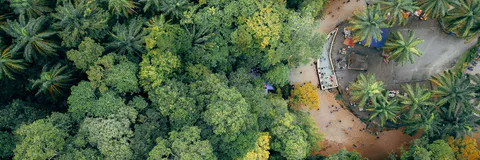 Strategy for Building the Organization of the Forest Management Communities around the Education And Training Area Sawala – Kadipaten – Majalengka, West Java