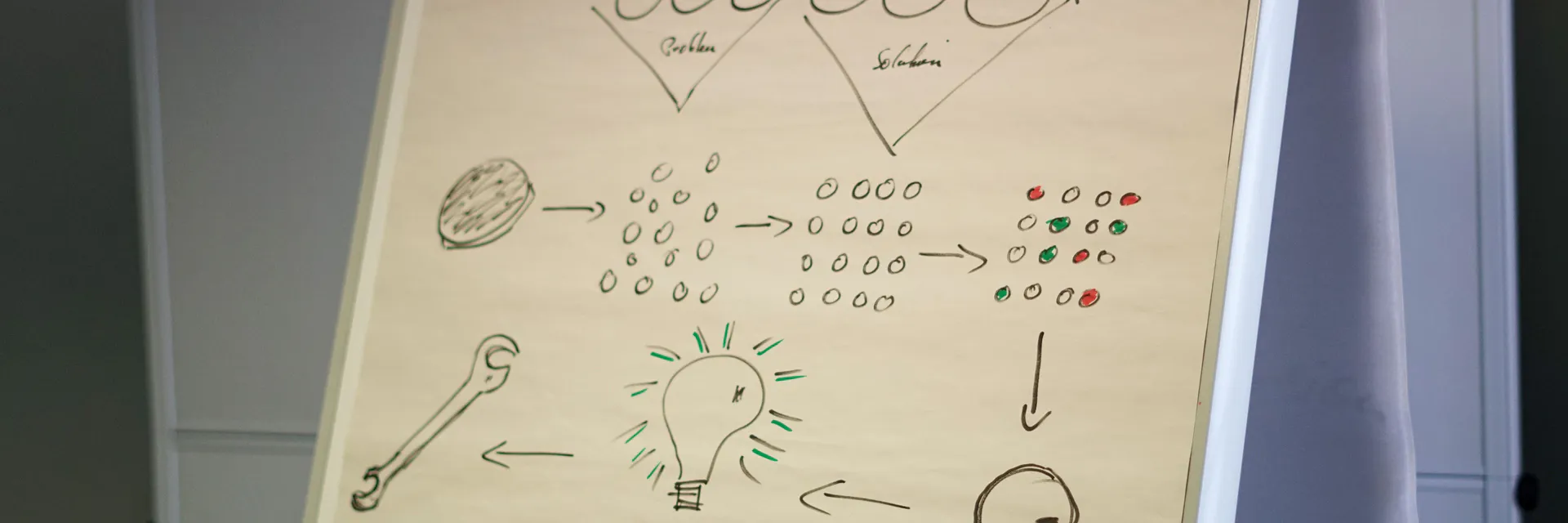 Intellectual Capital Formation Through Academic Professional and Organizational Knowledge Dynamics Banner