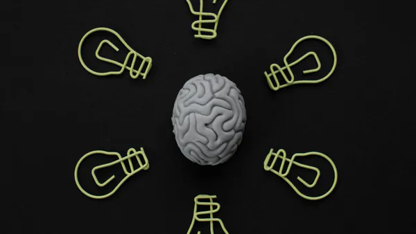 Intellectual Capital Formation Through Academic Professional and Organizational Knowledge Dynamics