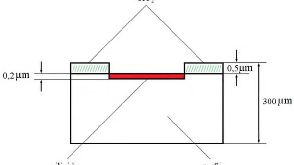 Photosensitive Structure with Schottky Barrier Based on  Nickel-Silicon Silicon Contact