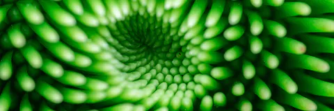 Computer Generation of Fractals; Some Methods and Techniques