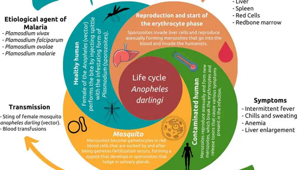 Overview of Brazilian Malaria Incidence from Environmental, Economic and Spatial Factors in Amazon and Extra Amazon Region