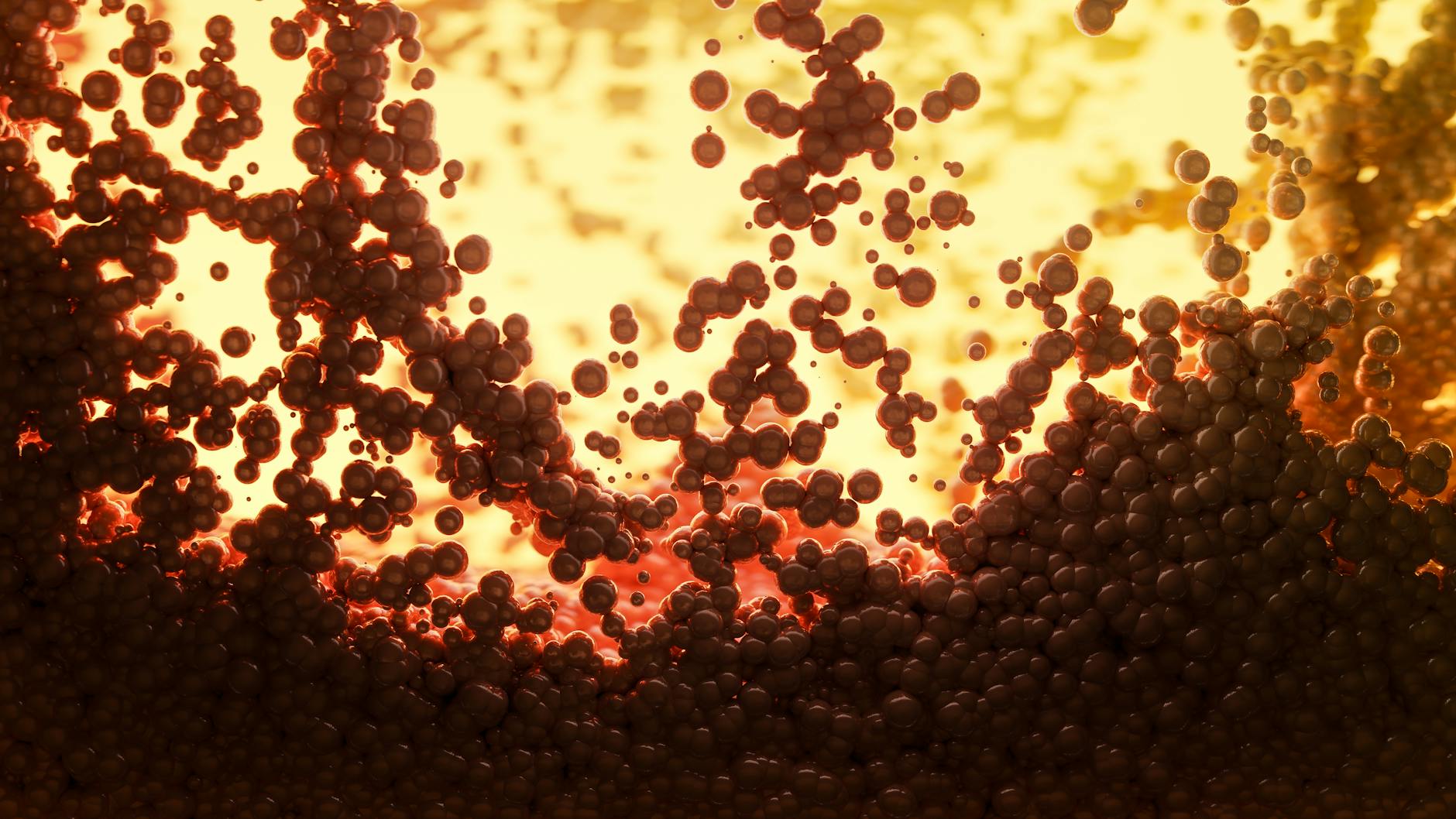 The Principles of the Universe Banner