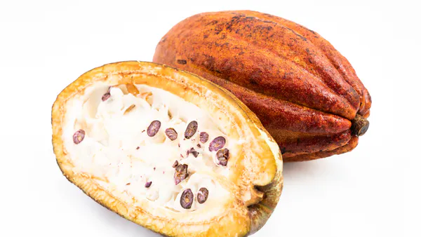 Reaction of Detached Fruits from Selected Cocoa Clones to Artificial Inoculation with Phytophthora Palmivora