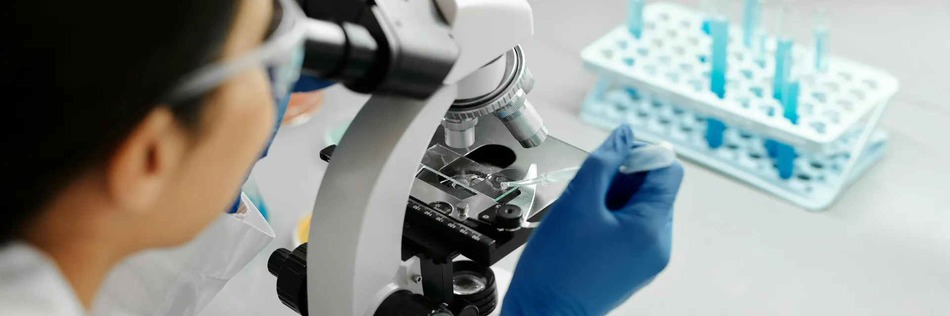 The Life Cycle and Actors Roles in Select Central European Biopharmaceutical Entrepreneurial Ecosystems – Results from a Multi-Perspective Survey Banner
