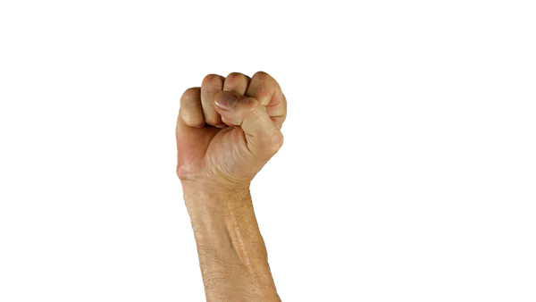 Slam do Corpo: Brief Study on Deaf Poetry in Slam Poetry