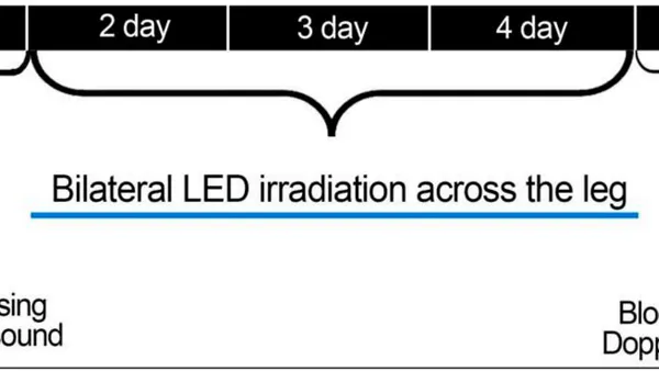 Acute Effect of Photobiomodulation with LED in Individuals with Diabetic Neuropathy