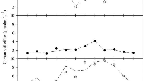 Evaluating Soil Carbon Efflux Responses to Soil Moisture and Temperature Variations in Brazilian Biomes