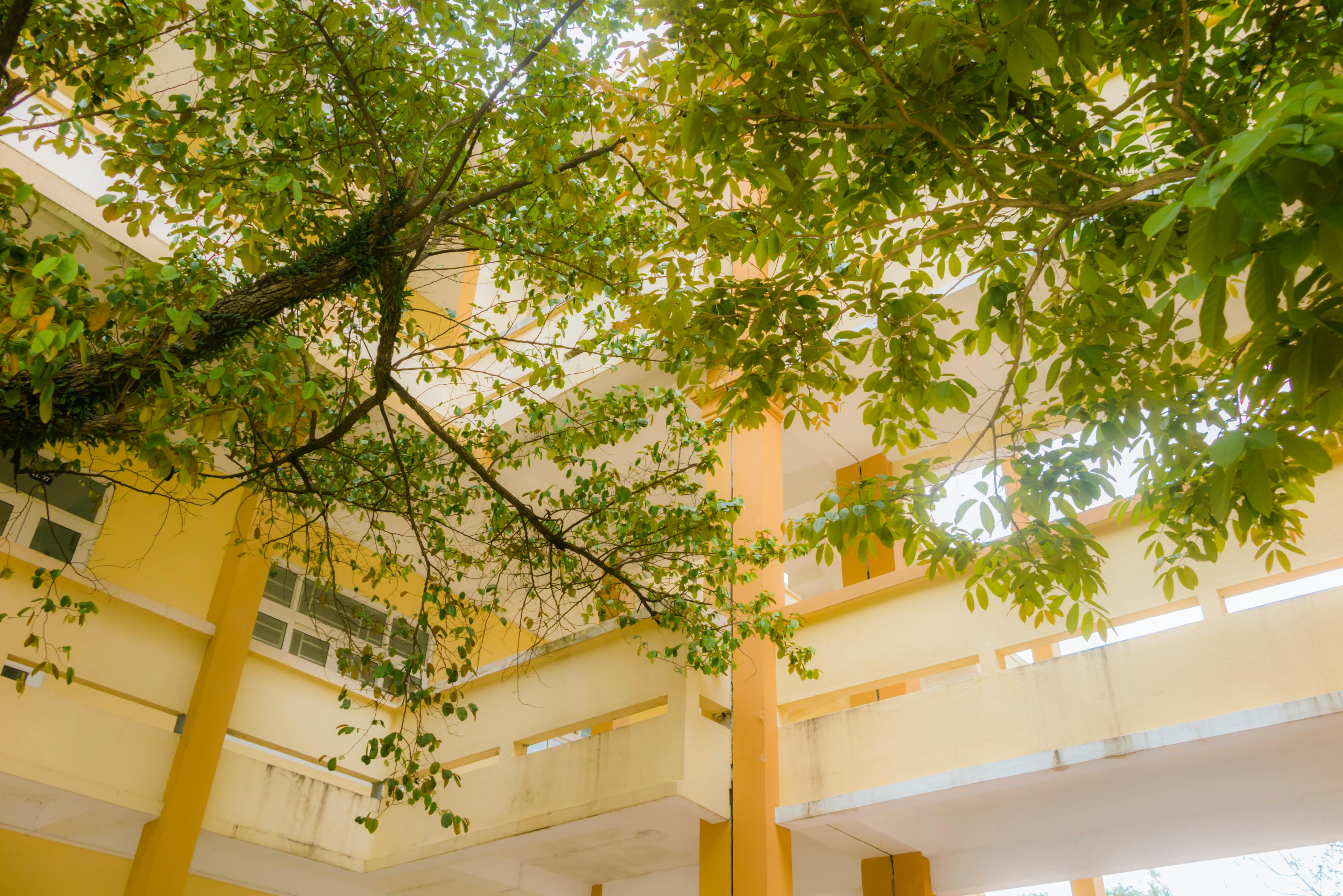 Impact of Green Human Resource Management Practices on University Sustainability: The Mediating Role of Green Psychological Climate among Academic Staff