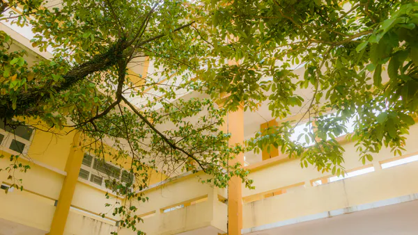 Impact of Green Human Resource Management Practices on University Sustainability: The Mediating Role of Green Psychological Climate among Academic Staff