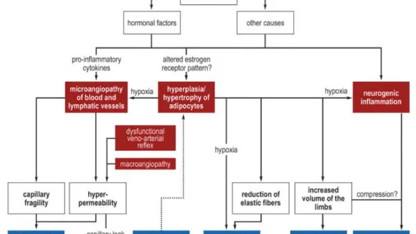 Lipedema and its Main Characteristics: A Literary Review