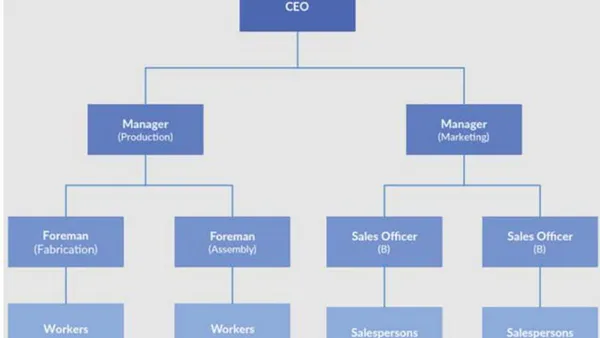 Organizational Structure as a Fundamental Function of Effective Management. The Case of Tesla