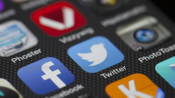 The Impact of Information and Communication Technologies on Political Marketing: Analysis of Digital Strategies and Ethical Challenges in a Connected World