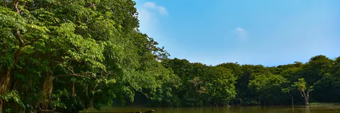 Interpreting The Haor Eco-System Through Sustainable Design: Haor (Wetland) Eco-Interpretation Center, Moulvibazar , Sylhet, Bangladesh