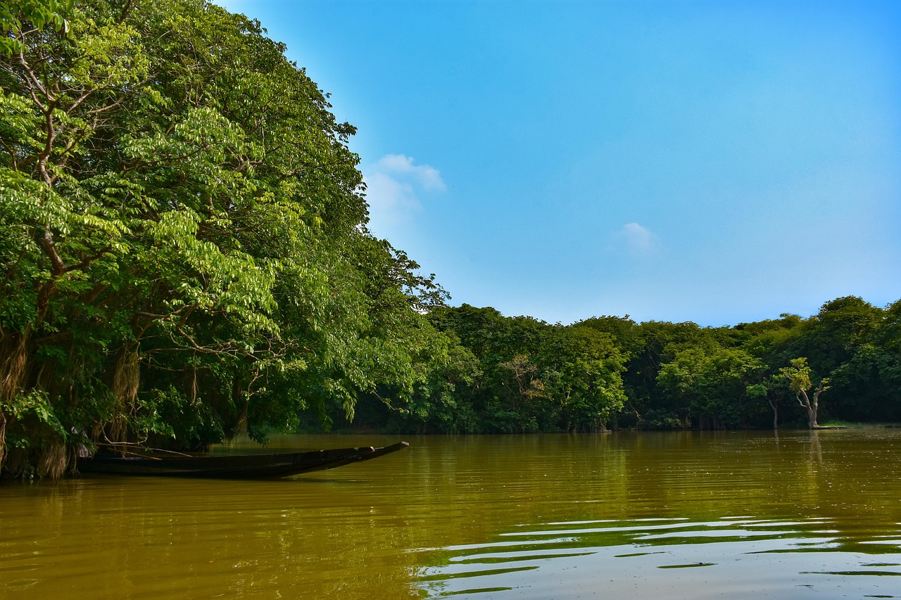 Interpreting The Haor Eco-System Through Sustainable Design: Haor (Wetland) Eco-Interpretation Center, Moulvibazar , Sylhet, Bangladesh
