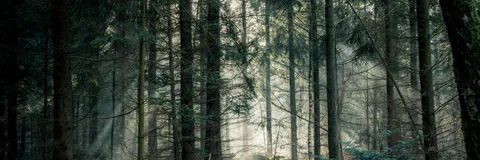 Music, Films and Celebrity Environmental Activism to Educate Students to Take Actions