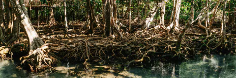 Socio-economic Structure & Sustainable Development of Indigenous Society: A  Study on the Munda Community