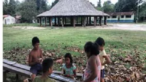 Decolonial Indigenous Education: Contribution to Ethnic-Racial and Intercultural Education
