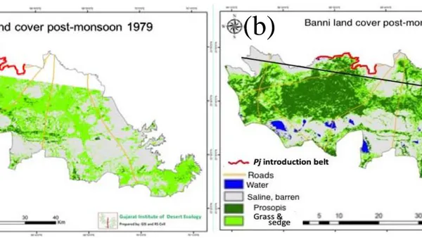 Land Degradation and Restoration Driven by Invasive Alien –Prosopis Juliflora and the Banni Grassland Socio-Ecosystem (Gujarat, India)
