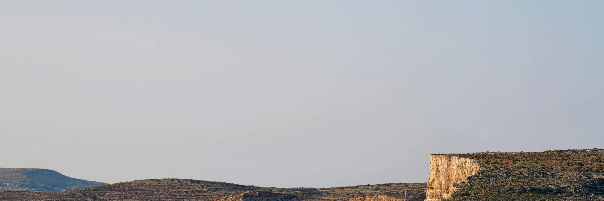 On the Origin of Cockroaches in the Maltese Islands Banner