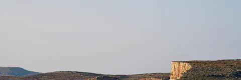 On the Origin of Cockroaches in the Maltese Islands