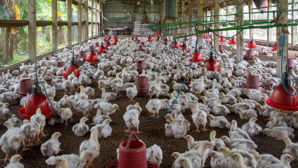 Comparative Effects of Covid-19 Pandemic on Agricultural Production and Marketing in Nigeria