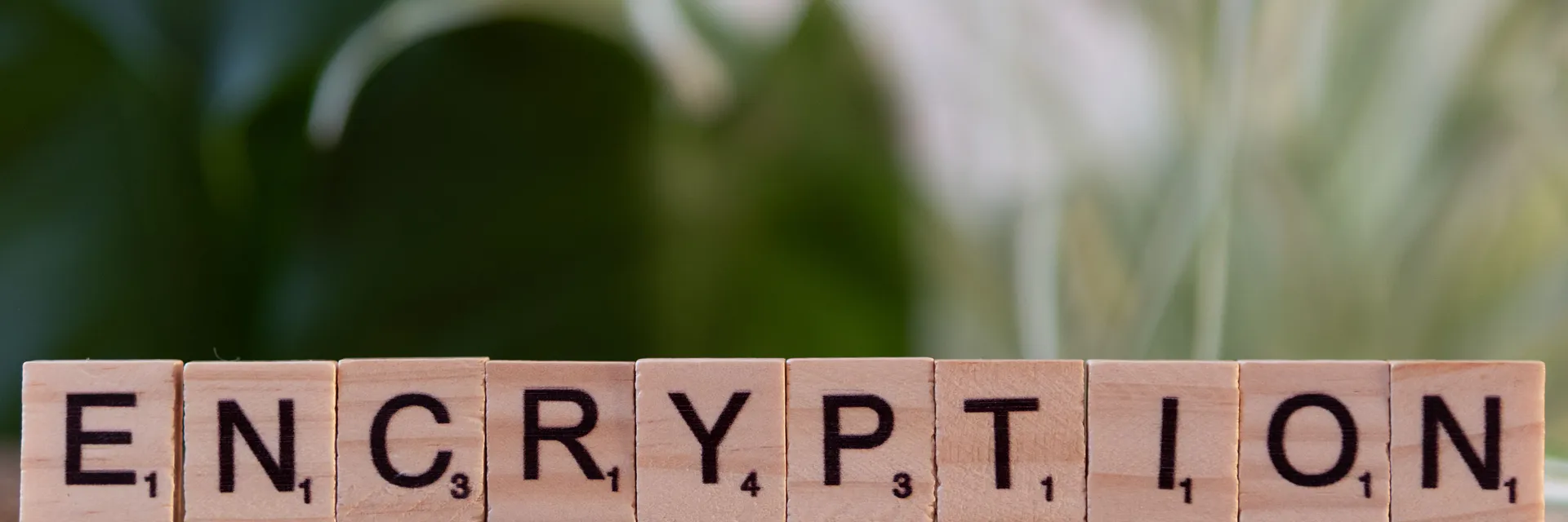 Data Protection Laws Trends: Practice and Debate Banner