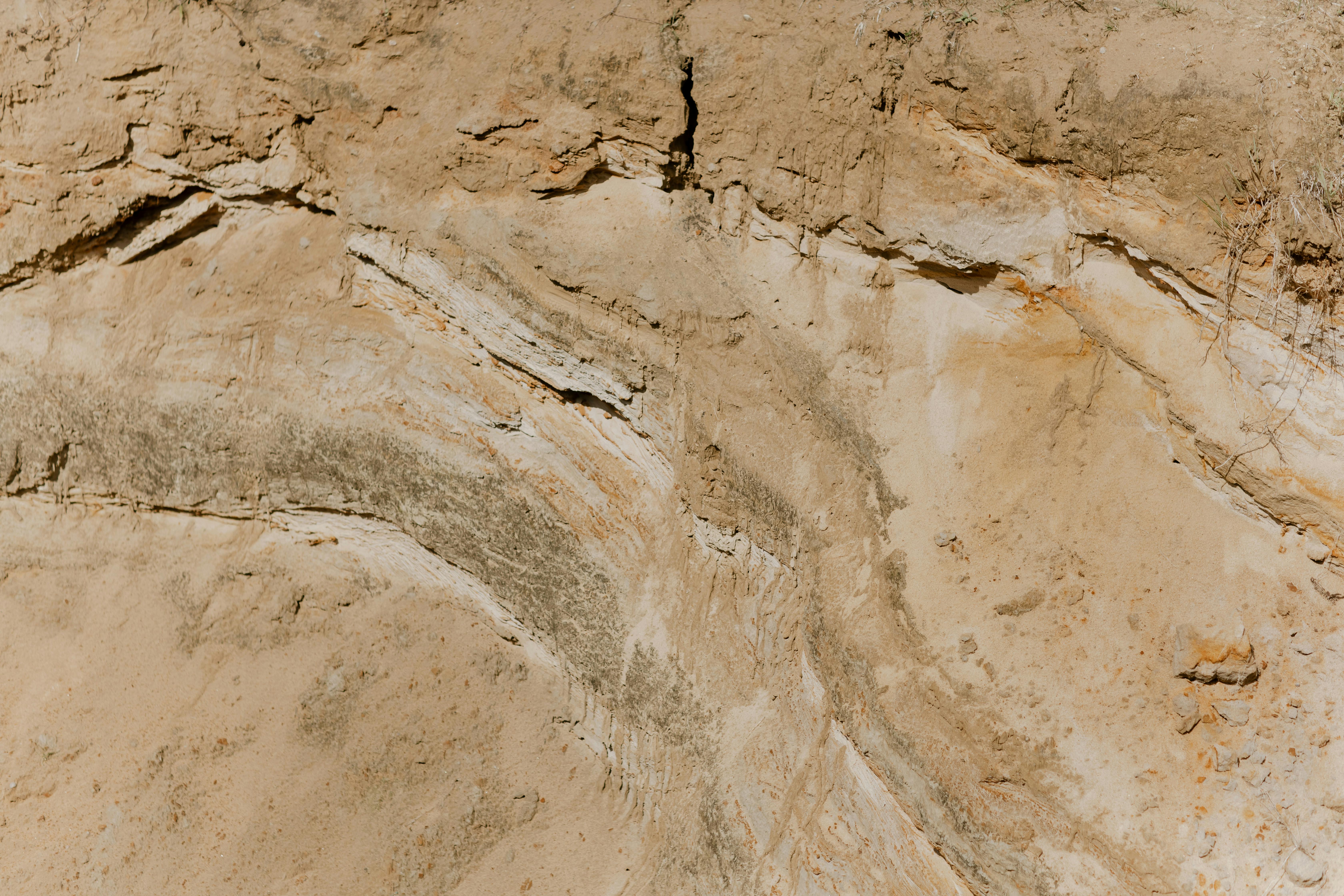 Smart Agronomy of Wheat Cultivation in Riverbed of Betawa through Natural And  Organic Farming under Changing Climate