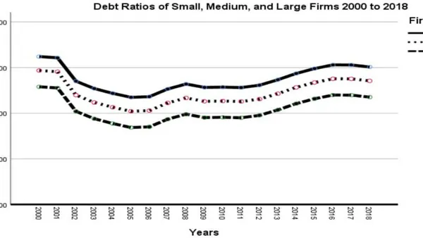 Impact of Managerial Entrenchment on Financial Flexibility and Leverage of Small Public  Firms: Policy Implications for Global Economic Crisis