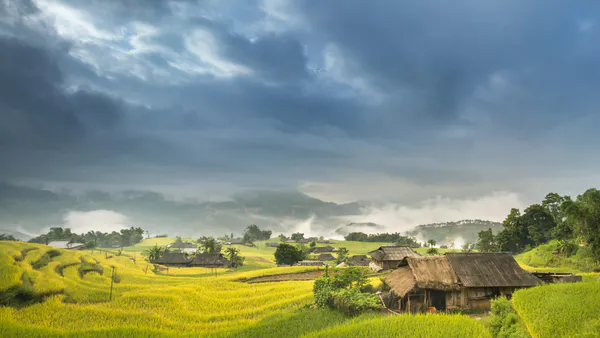 Analysis of the Financial and Economic Profitability of Rice Production in the Far North of Cameroon: The Case of SEMRY